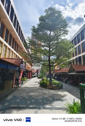 Toa Payoh Town Centre (D12), Shop House #573080621